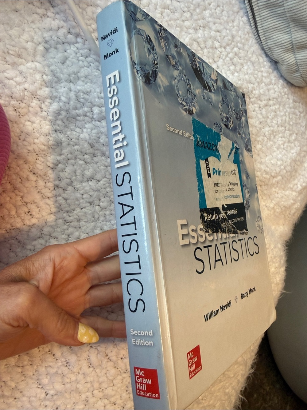 Essential Statistics textbook - silver blue cover